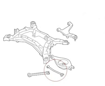 Nissan 350Z (2002-2009) Rear Lower Link Suspension Arm Bushes